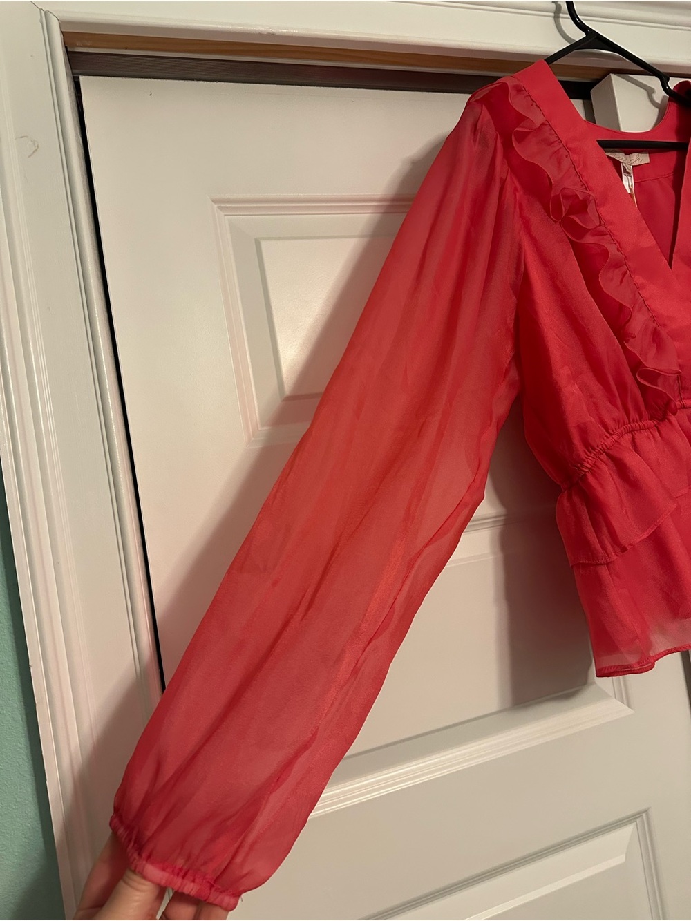 Anthropologie Hutch Pink Chiffon Sheer Ruffle Blouse Top Ballon Sleeve Sz L NEW - Picture 4 of 5